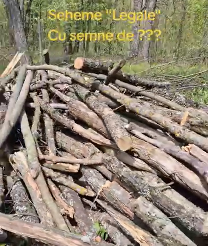 Sesizare privind încălcarea normelor tehnice de exploatare forestieră la Ocolul Silvic Scoreni (Î.S. Strășeni) - Garda Națională de Mediu